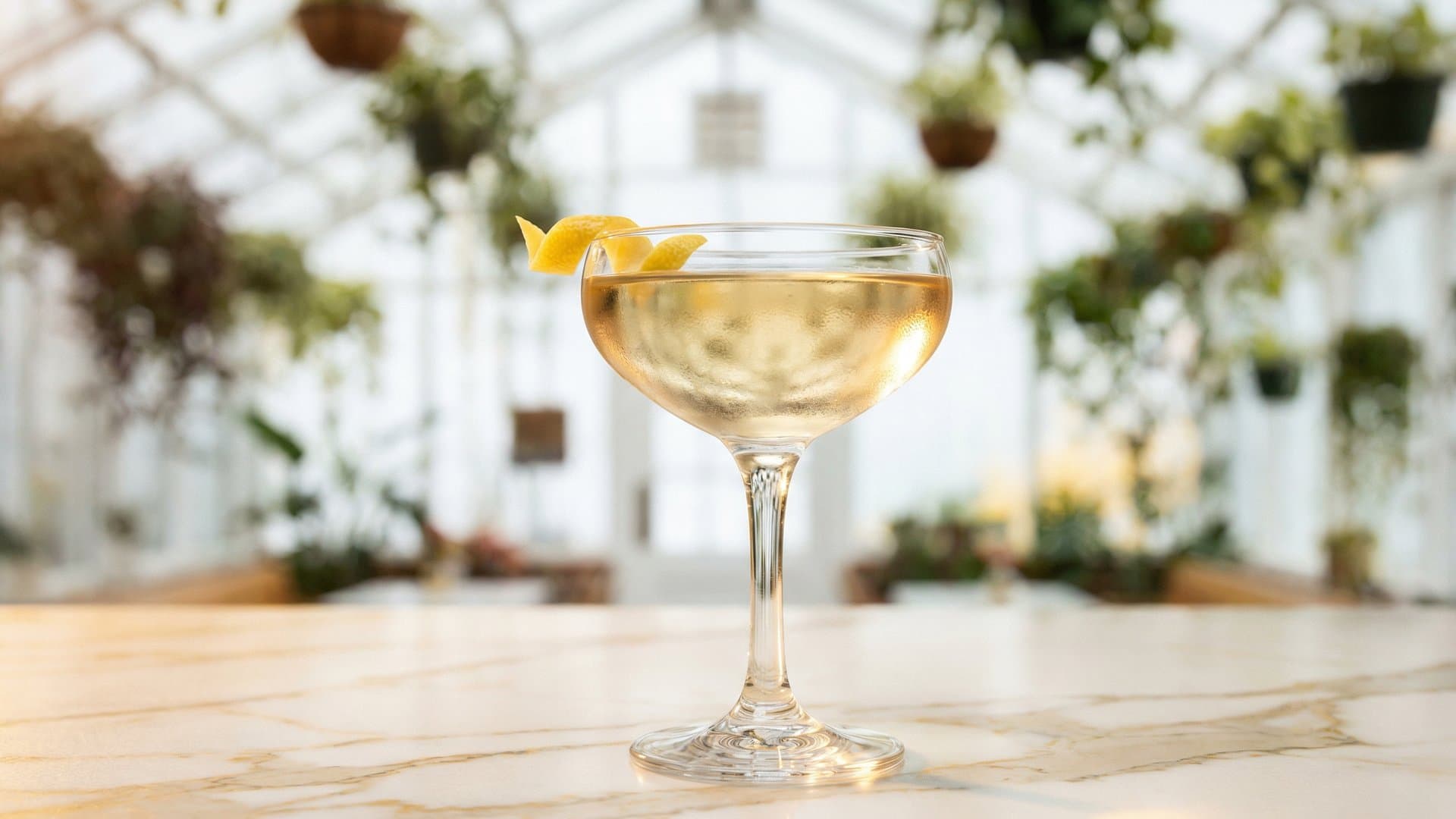 The Bee's Knees cocktail in a coupe garnished with lemon twist