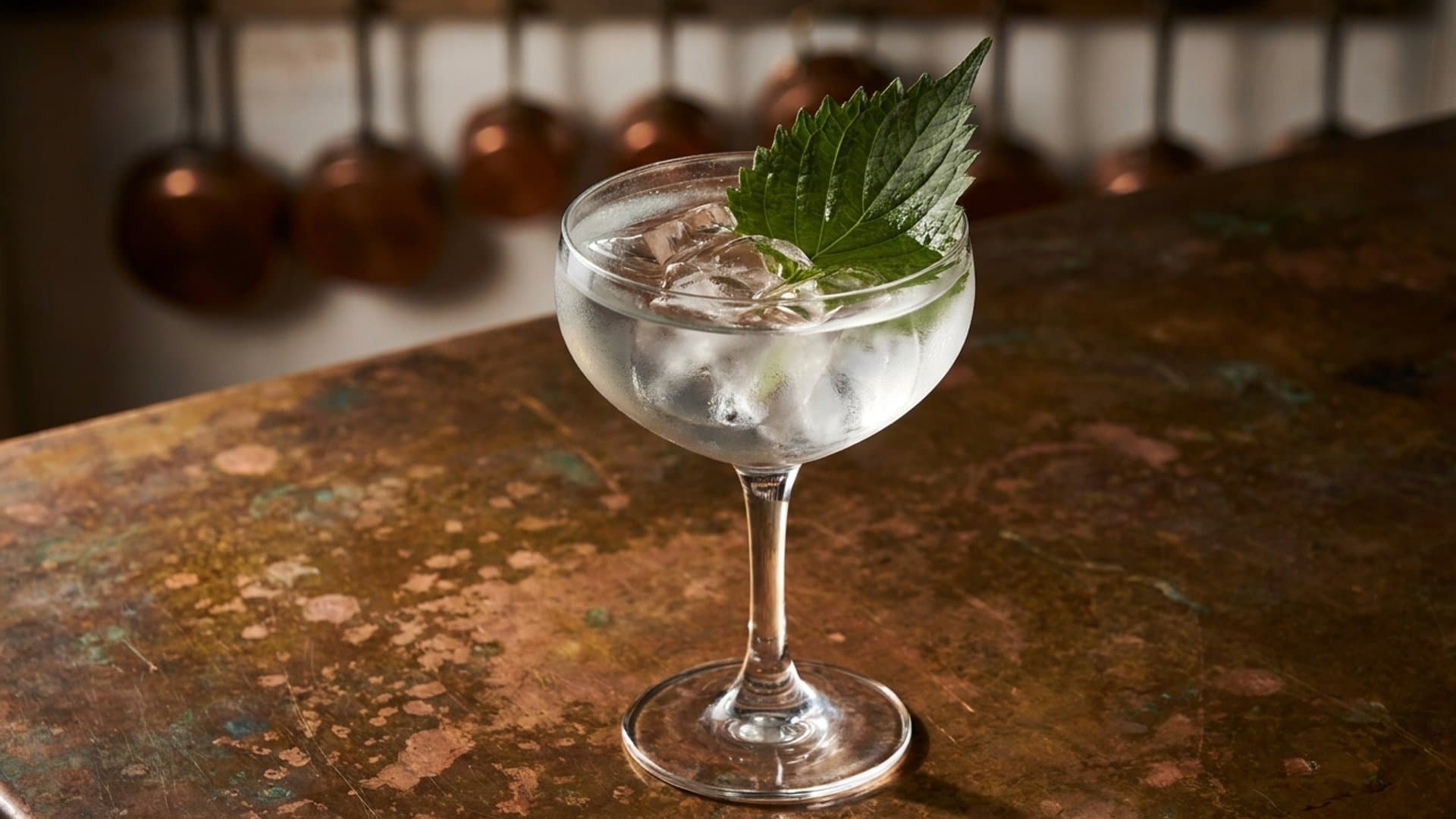Sakura Sunrise cocktail in a coupe garnished with Fresh shiso or mint leaf, slapped